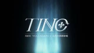 See You Again x 白月光与朱砂痣 (TINC Mash Up Remix)