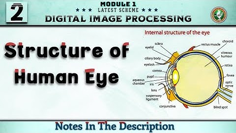 2 Structure Of Human Eye & Image Formation In Eye | DIP Module 1 6th Sem ECE 2022 Scheme VTU