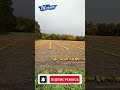 Ціле поле гарбузів. Осіння краса.