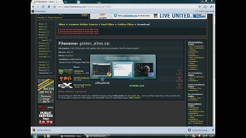 How to get/put skins into css