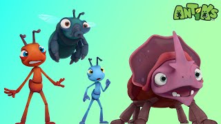 High Dive | 🐛 Antiks & Insectibles 🐜 | Funny Cartoons for Kids | Moonbug by Antiks & Insectibles 49,868 views 2 months ago 2 hours, 7 minutes