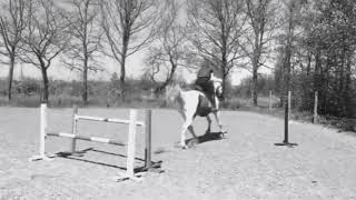 What A Spot - Its Like Youre Screaming And No One Can Hear