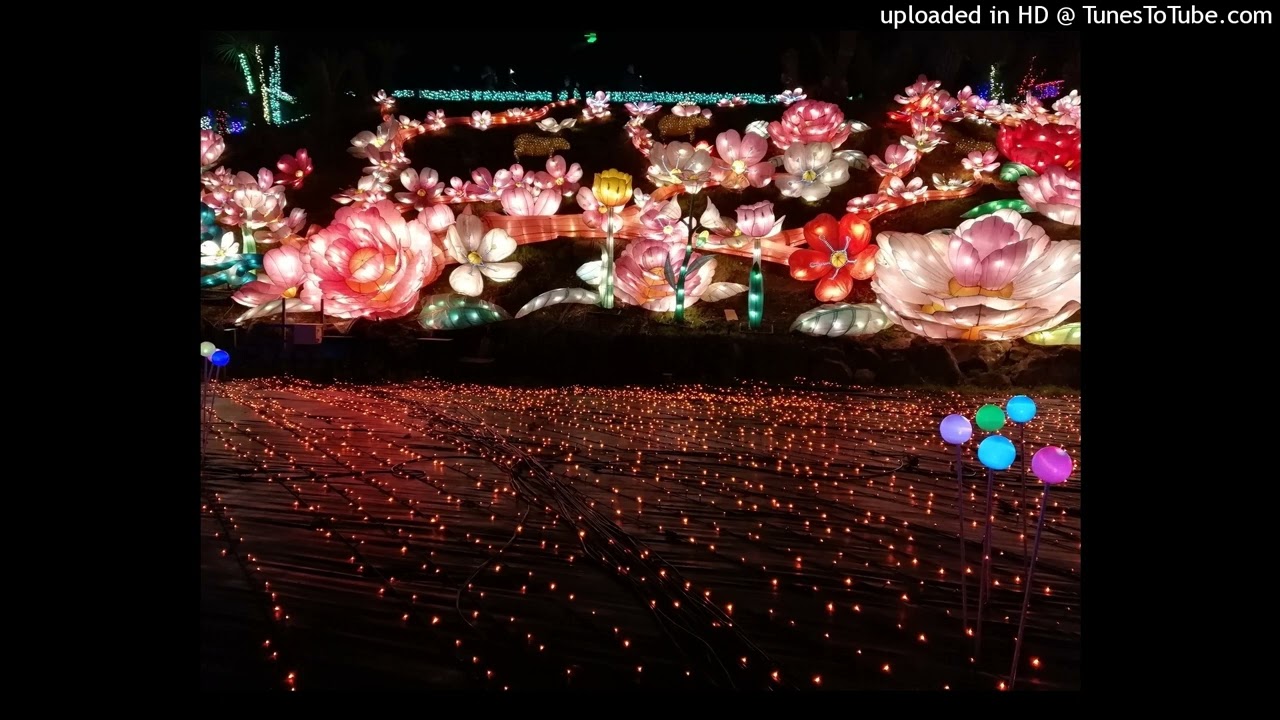 SAKURA / いきものがかり(カバー）