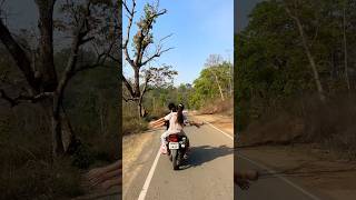 #bollywood #song #trending #love #subscribe #musicfans #viral #musiclovers#yt#youtubeshorts #ytviral