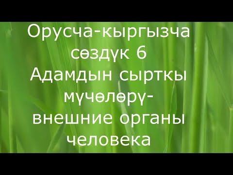 Video: Башка адамдардын оюн эске алууну кантип үйрөнсө болот