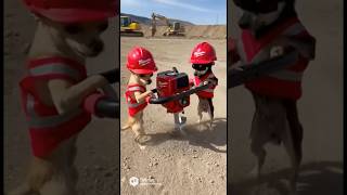 Big Drill Chihuahuas  Tools For Fools  Not Milwaukee Tools  Ai Parody Slop