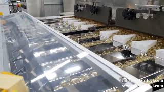 SKY Sorting Machine SS-10L