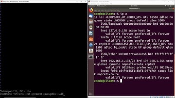 How to Install a Basic NFS Server on Linux - CentOS 8
