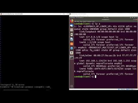 How to Install a Basic NFS Server on Linux - CentOS 8