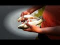 Fishermen Catching fish 🐟 | fish pond | #villagevlogs #shorts