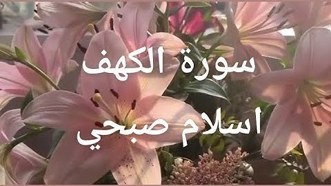 سورة الكهف | اسلام صبحي | surah alkahf | islam sobhi