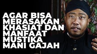 Mustika Mani Gajah Kok Ga ada Khasiatnya ? Ternyata Ini Penyebabnya