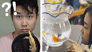 A Fishkeeping Movie BUT IT'S FISH ABUSE?! | Fish Tank Review 113
