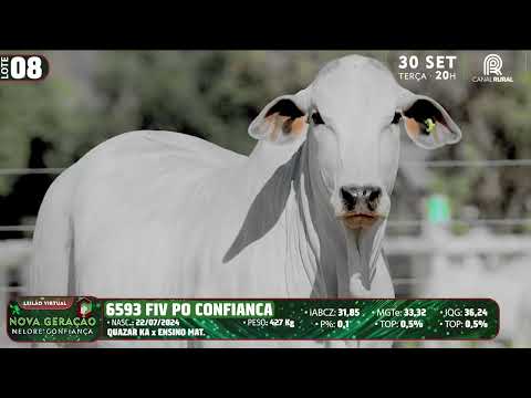 LOTE 08   DVD 6593