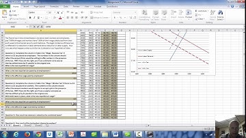 NEIU ECON Lecture Series 99: 217 Assignment 7 Tutorial