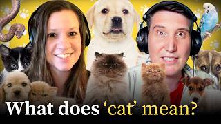 Celebrity Are pets called 'pets' because we pet them? Wealth