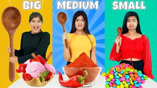 BIG vs MEDIUM vs SMALL SPOON CHALLENGE | Most Funny Mystery Food Challenge