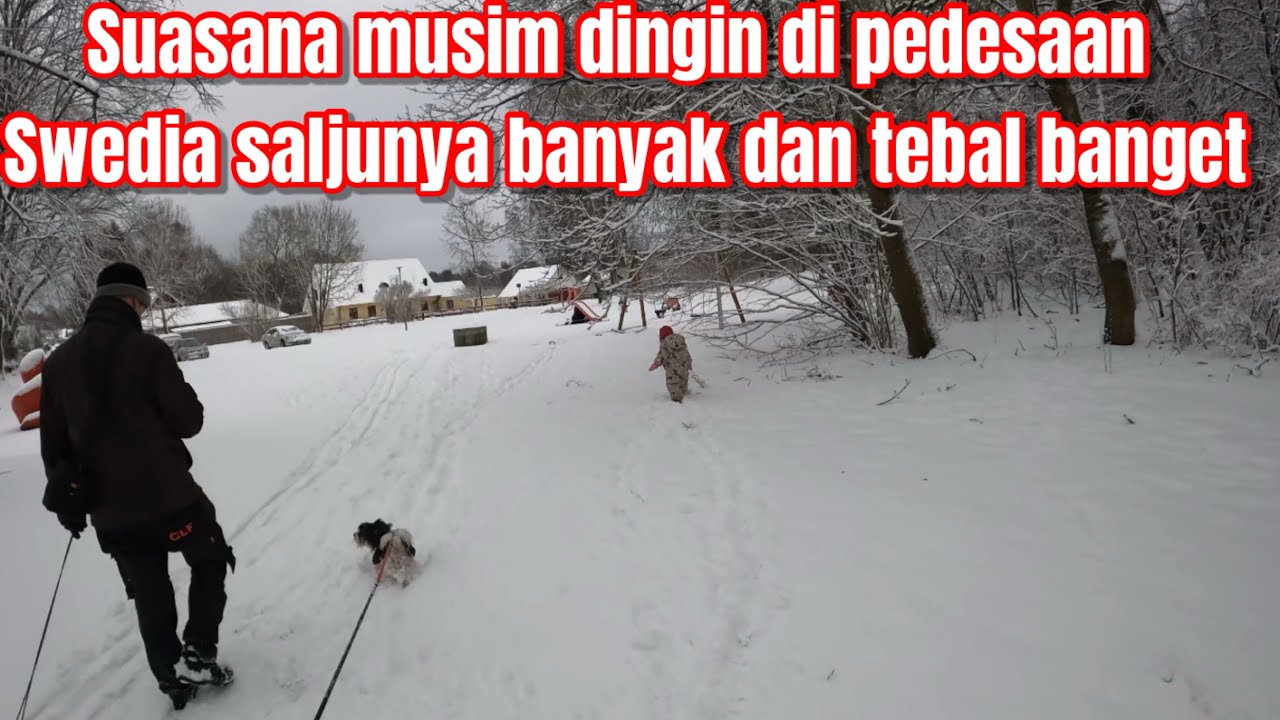 Зимняя атмосфера в шведской сельской местности, толстый слой снега и множество видеороликов в сти...