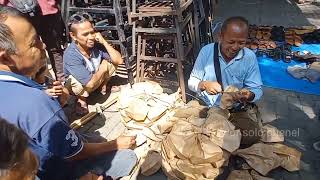 Download Lagu Kakek dari desa cari burung sendiri di juwal sendiri harga burung murah  MP3