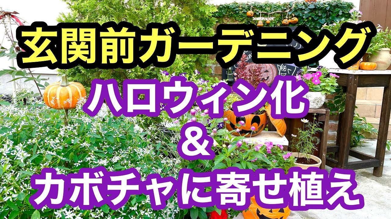 ガーデニングを楽しもう かぼちゃに寄せ植えしてみました ハロウィングッズと一緒に飾り 玄関前のアプローチを華やかにしてみました Youtube