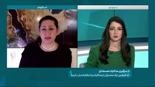 فرزانه روستایی، روزنامه‌نگار: نگرانی از فعالیت‌های هسته ای، انتقال به گروه‌های مورد حمایت ایران است