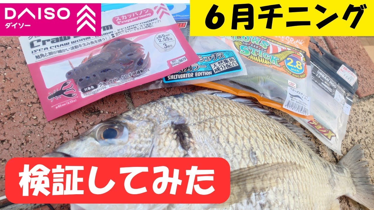 トラブルだらけ】フリーリグで釣れるワームを検証してみた。ハイ