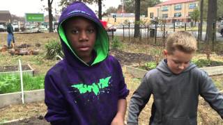 Project Whole Bananas, A Composting Story - Mallinckrodt Academy
