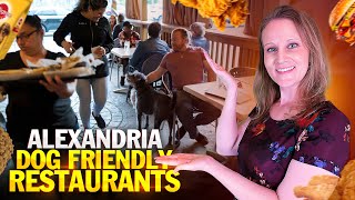 Celebrity Don't Miss These AWESOME Dog Friendly Restaurants, Alexandria VA 🐕🥘 Net Worth