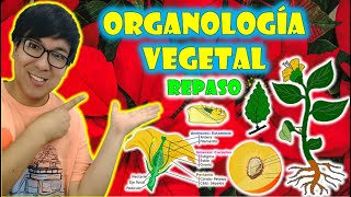PLANT ORGANOLOGY | REVIEW