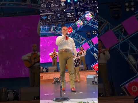 Viva Jalisco! 🇲🇽❤️