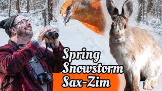 CROSSBILLS with expert Matt Young & Spring Snowstorm SaxZim. Virtually Live 45 S4 E10