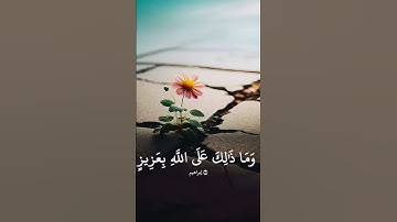 #استغفر_الله #القرآن_الكريم #المصحف #تلاوة_خاشعة #الغفور #الرحمن