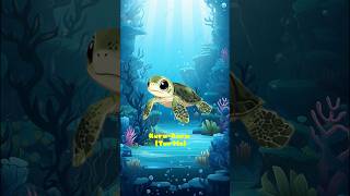 Fakta menarik tentang Kura-kura ( Turtle)#edukasi #edukasianak #binatang #binatanglucu
