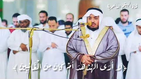 وَتَفَقَّدَ الطَّيْرَ فَقَالَ مَا لِيَ لَا أَرَى الْهُدْهُدَ 🌺🌹تلاوة خاشعة من | القارئ سعيد الخطيب