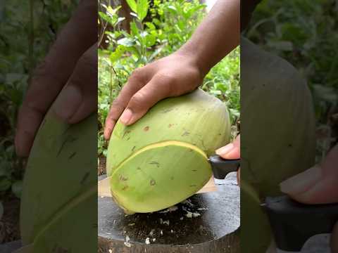 Amazing Coconut Cutting