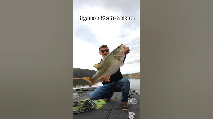 Can’t catch a bass? Throw these 3 baits! #fishingtips #fishing #bassfishing