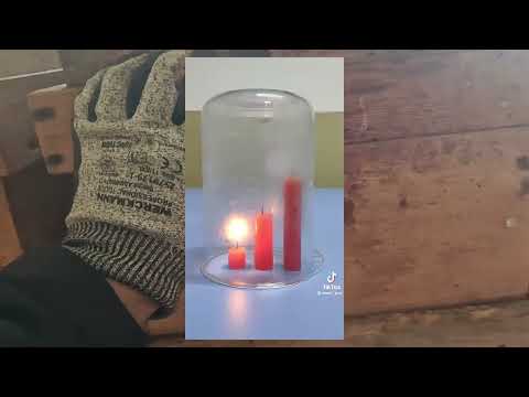 طريقة مبتكرة لتشتية النحل