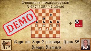 Эндшпиль. Одноцветные слоны. Демо. Курс «От 3 до 2 разряда», урок 38. Игорь Немцев. Шахматы