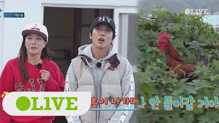 island trio 닭잡기에 영혼 나간 청정자매 (흡사 곡성 상훈) 171127 EP.28