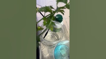 Fitur-Fitur Smart Green House/Hidroponik Berbasis IoT & Otomatisasi