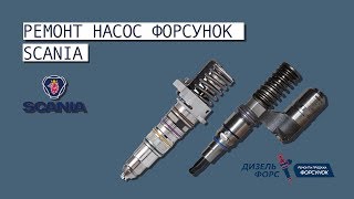 Насос форсунка Scania. Ремонт и продажа.