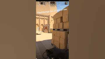 Perfect Flash 😂 #csgo #cs2 #counterstrike #counterstrike2 #gaming #shorts #csgoclips #counterstrike