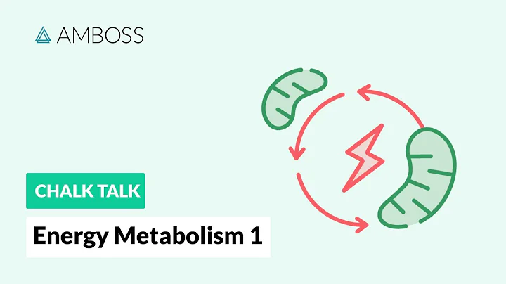 Energy Metabolism - Part 1: Body's Sources of Energy - DayDayNews