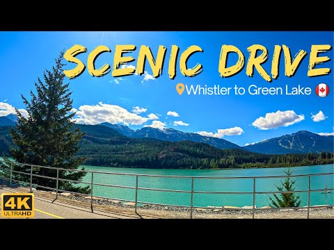 SCENIC DRIVE -