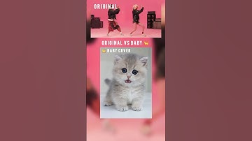 Original Vs Cat Cover ( Apt Song ) #apt #cat #rose #brunomars