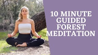 Guided Forest Meditation