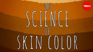 The science of skin color - Angela Koine Flynn screenshot 4