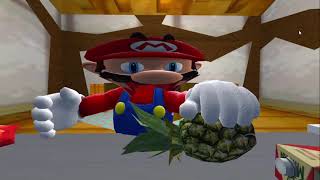 Mario go co co crazy | ORIGINAL CLIP FROM SMG4 | Net Worth
