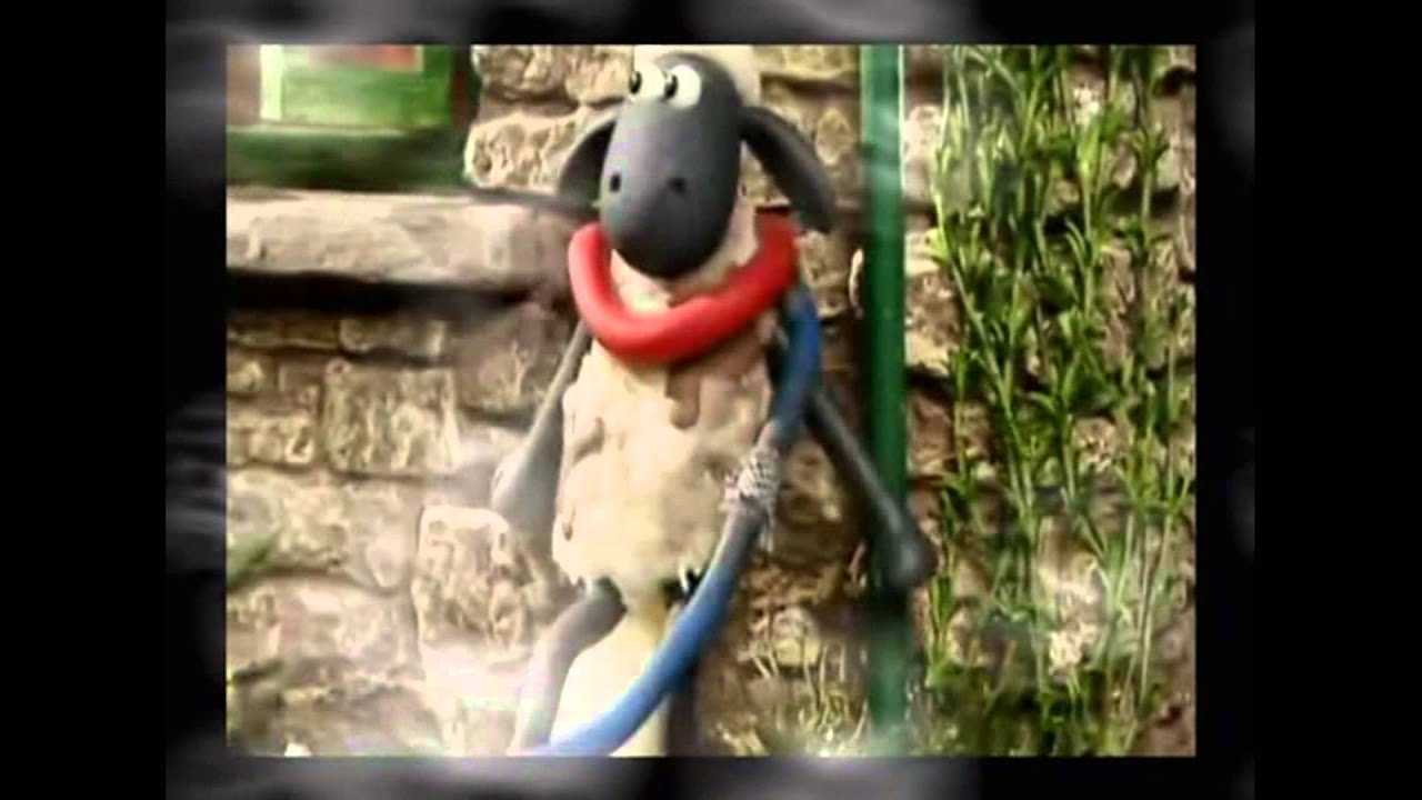 shaun-the-sheep-bathtime-new-full-hd-episode-2014-youtube