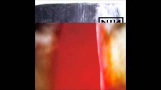 Nine Inch Nails - Please (+Appendage)